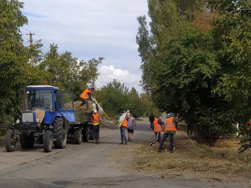 Как купить квартиру от собственника: полезные советы